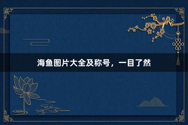 海鱼图片大全及称号，一目了然