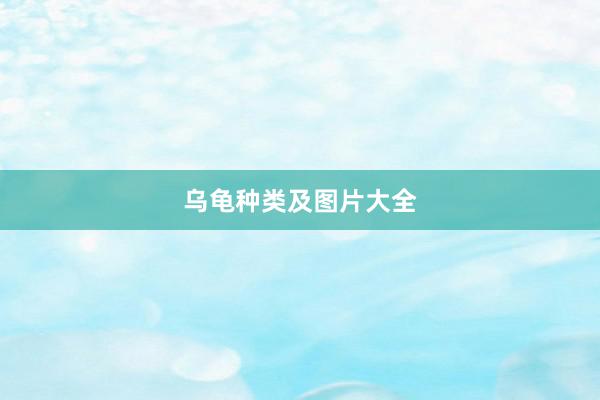 乌龟种类及图片大全